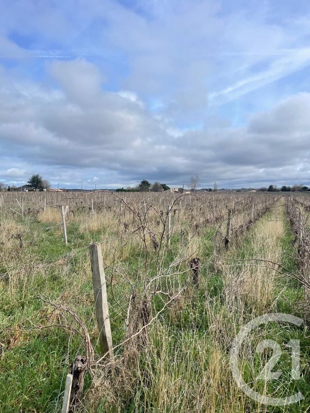 terrain à vendre - 95274.0 m2 - LUSSAC - 33 - AQUITAINE - Century 21 G&B Immobilier